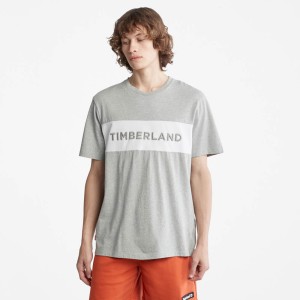 Timberland Branded Linear Tee TB0A26TP052 Grey