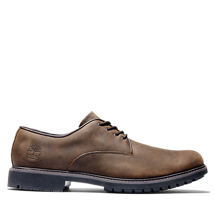 Timberland stormbuck top brown